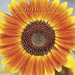 Sunflowers 2009 Wall Calendar