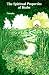 Spiritual Properties of Herbs