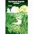 Spiritual Properties of Herbs
