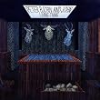 Peter, Bjorn and John: Living Thing
