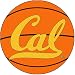 Search : Fanmats California Golden Bears Basketball-Shaped Mat