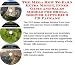 Book The Mega How To Earn Extra Money, Inner Game and Sales Models for Bridal Shower Gifts Biz 3 CD Package