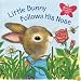 Little Bunny Follows His Nose (Scented Storybook)