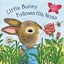 Little Bunny Follows His Nose (Scented Storybook)