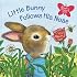 Little Bunny Follows His Nose (Scented Storybook)