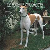 Greyhounds 2007 Calendar