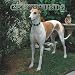 Greyhounds