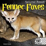 Fennec Foxes (Nocturnal Animals)