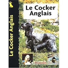 Le cocker anglais