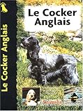 Le cocker anglais