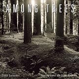 Among Trees 2006 Calendar