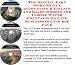 The Special Earn More Money, Accounting & Finance and Sales Models for Indoor Water Fountains On-line Businesses 3 Course Pack