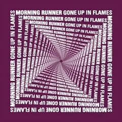 Gone Up in Flames