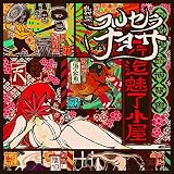 フルセラナヨサ