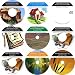 The Foremost 9 CD No Money Down, Millionaire Making Real Estate Investing Course