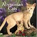 abyssinian22  - Abyssinian Cats 2006 Calendar