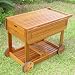 from Trueshopping Hardwood Luxury Garden / Patio Barbecue B.B.Q. Serving Trolley