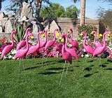 15 Pink Yard Flamingos in Bulk for Flocking Surprises or A Pink Flamingo Fundraiser.