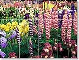 Flower Photo Wall Tile Mural F191. 12.75x17 inches using (12) 4.25x4.25 ceramic tiles.