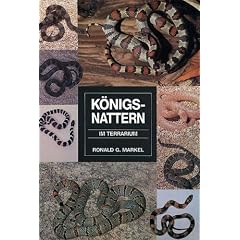 K�nigsnattern im Terrarium