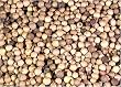 Whole White Peppercorns 8 oz.