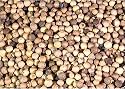 Whole White Peppercorns