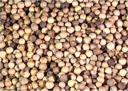 Childrens Toyshop  Gourmet Food : Whole White Peppercorns 8 oz.
