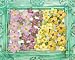 Caboodles Flowers B Purple/Yellow (Prima Marketing)