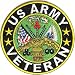 Veteran US Army Patch -Embroidered Iron on or Sew on military patch