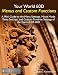 Your World 60D Menus and Custom Functions - A Mini-Guide to the Menu Settings, Movie Mode Menu Settings, and Custom Function Settings of the Canon EOS 60D by Douglas Klostermann
