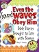 Even the Sound Waves Obey Him (CPH Teaching Resource (Paperback))