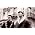 Thumbnail image of Saint Etienne