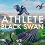 Black Swan