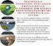 The Special Promotion, Godfather Principles and eCommerce for Energy Efficient Light Bulbs On-line Biz Package (3 CDs)
