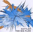 The Big Flow