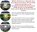 The Special Make An Extra Income, Success Principles and Accounting & Finance for Nail Clippers On-line Biz Package (3 CDs)
