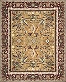 4x6 GOLD Hand Knotted Wool Nourison 16th Century Rug