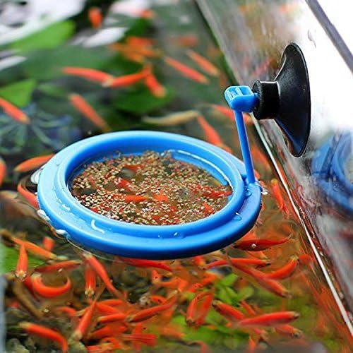 Aquarium Feeding Ring