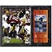 Troy Polamalu Pittsburgh Steelers 12x15 Super Bowl XLIII Plaque with Replica Ticket