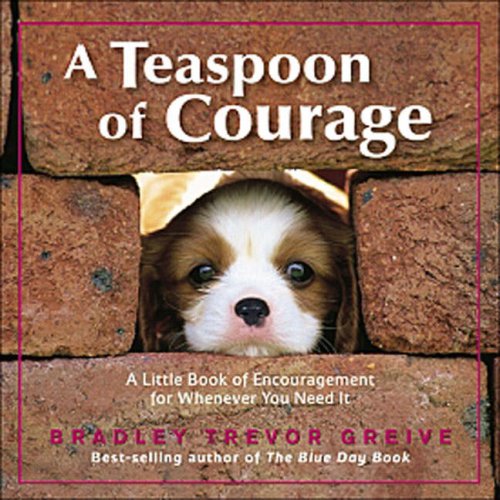 Teaspoon of Courage A Little Book of Encouragement for Whenever You Need It