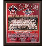 Los Angeles Angels of Anaheim 2002 World Series Champions Healy Plaque