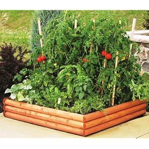 Raised Garden Beds