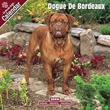 2009 Dogue de Bordeaux Wall Calendar