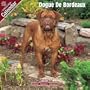 2009 Dogue de Bordeaux Wall Calendar