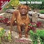 2009 Dogue de Bordeaux Wall Calendar