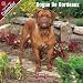 2009 Dogue de Bordeaux Wall Calendar