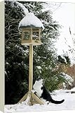 Box Canvas Print of Cat - black a white cat climbing up a bird feeding table in snow from Ardea