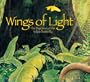 Wings of Light: The Migration of the Yellow Butterfly