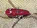LeLure Muskie Creeper - Red Crackle