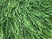 Grass Green Eyelash Yarn 50 Gram Ice 22787